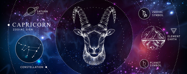 Wall Mural - modern magic witchcraft card with astrology capricorn zodiac sign. realistic hand drawing ram or mou