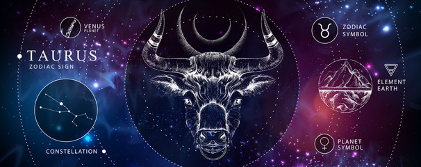 Wall Mural - modern magic witchcraft card with astrology taurus zodiac sign. realistic hand drawing bull head. zo