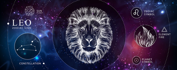 Wall Mural - modern magic witchcraft card with astrology leo zodiac sign. realistic hand drawing lion head. zodia