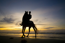 Silhouette Of Man On Horse At Beach Free Stock Photo - Public Domain ...