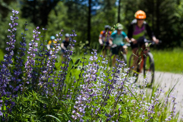 Mountain Biking Missoula Montana