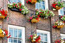 Flower Box Colorful Decorations On Windows Summer Day With Brick Architecture In London, UK Neighborhood District Of Kensington