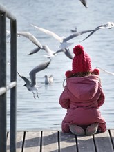 Rear View Of Young Girl Feeding Seagulls