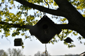 Wall Mural - Birdhouse