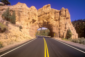 Wall Mural - The road to Bryce Canyon National Park in Utah