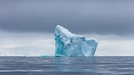 Wall Mural - Icebergs in Antartica