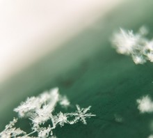 Close-up Of Snowflakes On Green Table