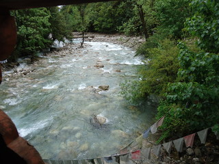 river in the forest