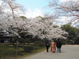 Wall Mural - kenrokuen garden in kanazawa