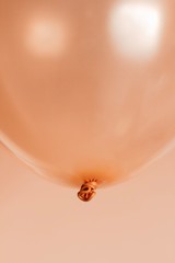 Canvas Print - rose gold color hellium balloons flying