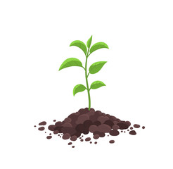 Wall Mural - Sprout seedling shoot germination in the pile dirt soil. Young tree growing in the ground. Agricultural plant spring. Vector.