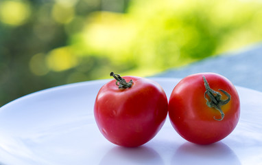 Wall Mural - Red fresh ripe raw juicy small tomatoes on a white plate ready to be used for cooking in a salad or a dish, close up vegetable, background outdoors, farm, garden, windowsill