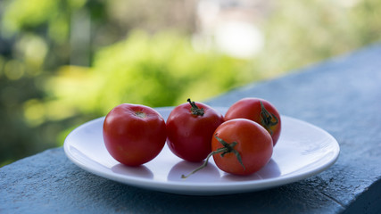 Wall Mural - Red fresh ripe raw juicy small tomatoes on a white plate ready to be used for cooking in a salad or a dish, close up vegetable, background