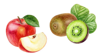 Wall Mural - Kiwi fruit apple set watercolor isolated on white background