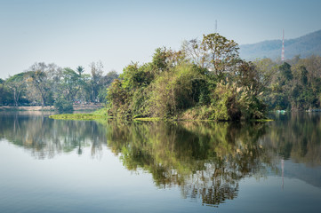 Pond and Tree Forest Landscape