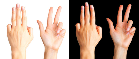 Wall Mural - Set of woman hands showing three fingers and palm