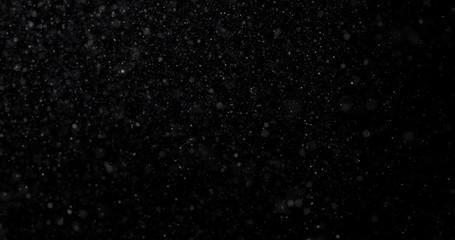 Wall Mural - Natural white winter snowfall on a black background video