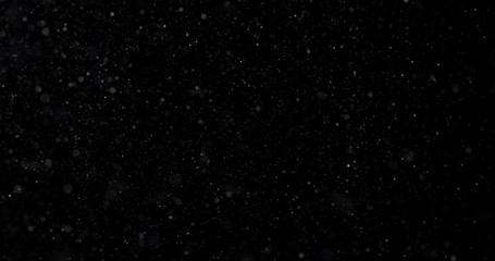 Wall Mural - natural white winter snowfall on a black background video