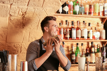 Wall Mural - Male bartender making cocktail in pub