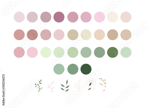 Cuadros en Lienzo neutrals color palette and abstract flowers, procreate swatches, workpiece icon