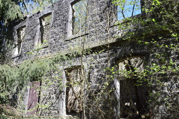 Canvas Print - Ruine einer alten Mühle im Nettetal