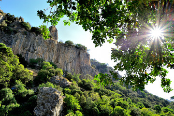 montaña rocosa y árbol con el sol entre las hojas Marbella Andalucía España 