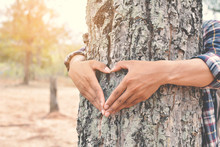 Midsection Of Man Holding Heart Shape On Tree
