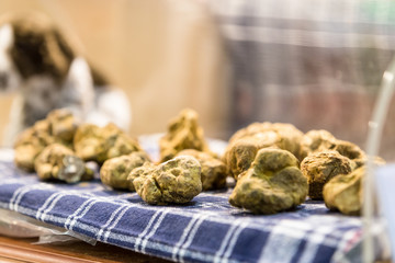 Famous white truffles , Alba, Piedmont, Italy.