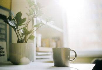 Beautiful morning in the room. On a white table stands a cup of coffee with a flowerpot, in the background the sun shines in the window