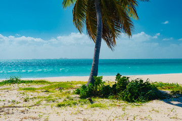 Caribbean island of Anguilla with palm trees and white beaches