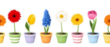 Vector Horizontal Seamless Background With Colorful Spring Flowers In Flowerpots.