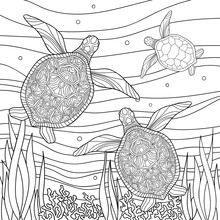Family Of Turtles With Small Patterns In Underwater World With Corals And Algae On White Isolated Background. Sea Hand Drawn Illustration. For Kids And Adults Coloring Book Pages.