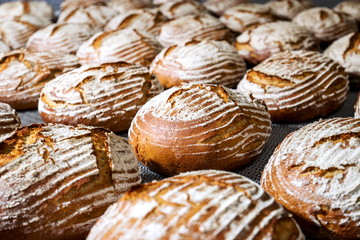 Making industrial bread