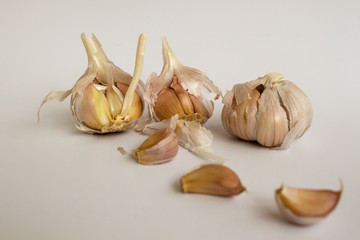 garlic on the white background