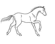 Horse Galloping - Vector Linear Picture For Coloring. Outline. Hand Drawing. A Horse In A Canter Center, Phase With Support On Two Legs. Fine, Thoroughbred Prancing Stallion.