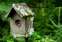 Vintage Bird Feeder Free Stock Photo - Public Domain Pictures