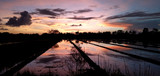 Fototapeta Mapy - sunset