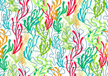 Underwater Sealife Seamless Pattern With Seaweed Plants, Corals Drawing