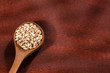 Hordeum vulgare - Raw organic pearl barley in wooden spoon