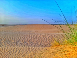 Canvas Print - sand dune in desert of Algeria