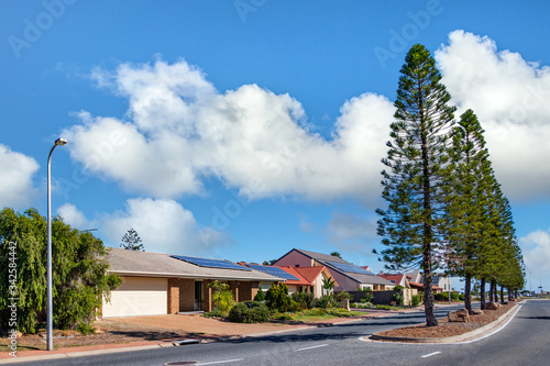 Fotomural Suburban residential houses with solar panels next to the Lady Ruthven Reserve in Adelaide, Australia