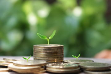 money saving concept image of stack coins and house model ,hand holding coins with growth plant.