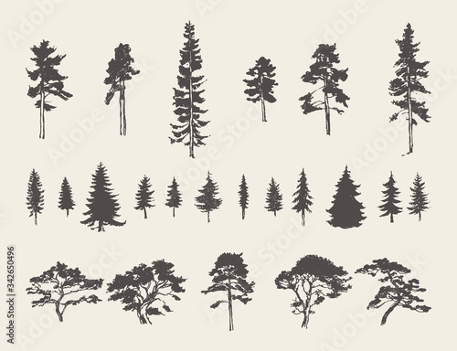 Fotografía Set silhouettes trees pine fir cedar vector sketch