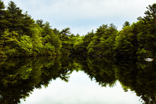 Reflection Of Trees In Lake Against Sky