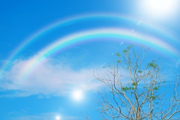 Wall Mural - Rainbow shiny on blue sky very beautiful in landscape