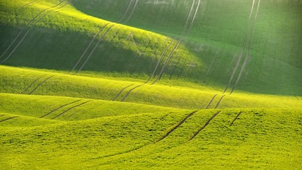 Green spring nature background with setting sun and grass. Waves on the field.  Moravian Tuscany - Czech Republic - Europe.