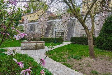 Poster - Garten mit Blumen Pflasterweg und Mauern