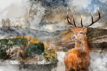 digital watercolor painting of majestic autumn fall landscape of hawes water with red deer stag cerv