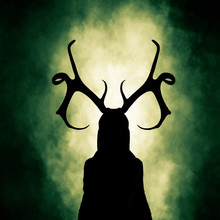 Queen Of The Woods,silhouette  Woman Wearing Antlers,3d Rendering