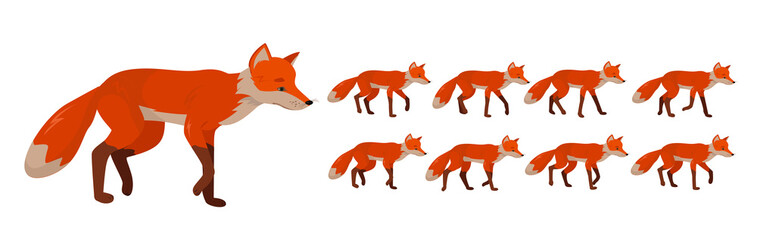 Wall Mural - tricky red fox, set of frames or sequences for character animation.